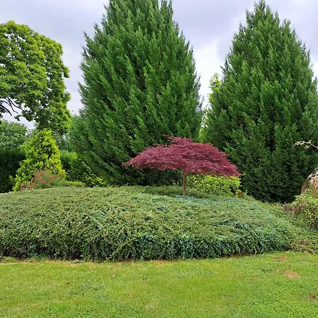 Porta Esperanza * Cospeito