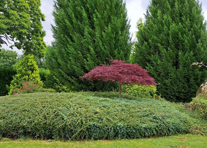 Porta Esperanza * Cospeito